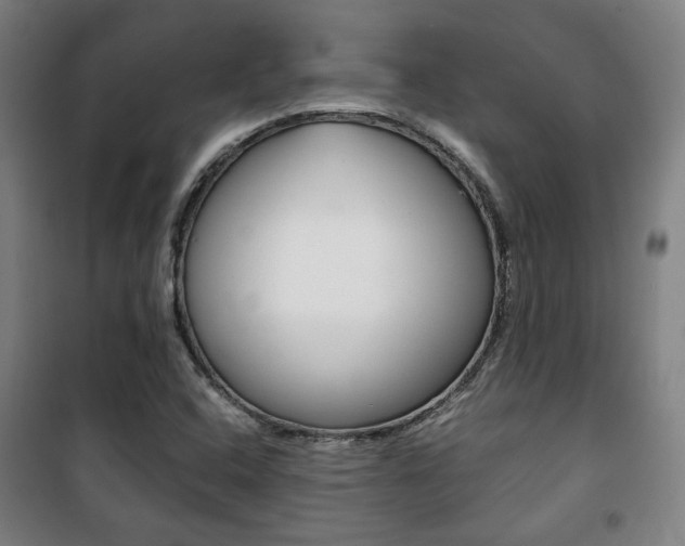 X0000101711408200807101358