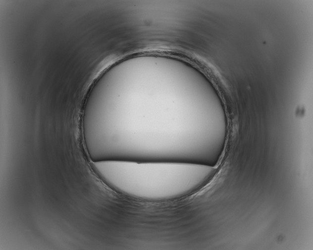 X0000101711409200807101358