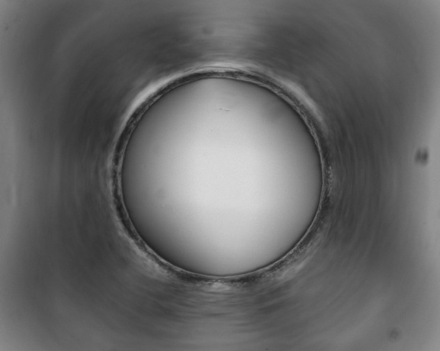 X0000101711412200807101358