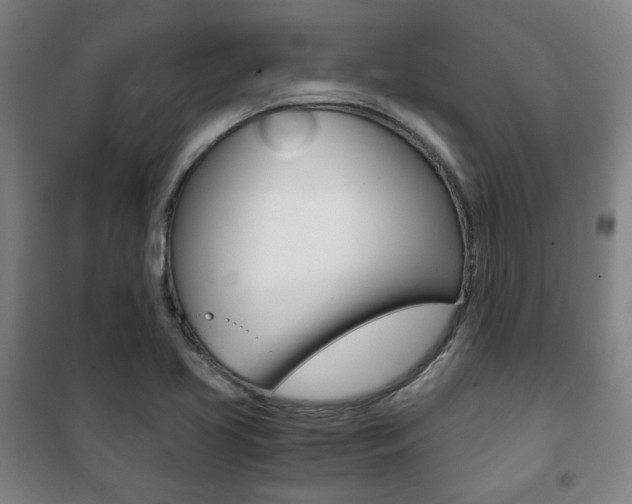 X0000101711413200807101358