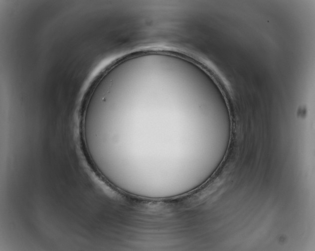 X0000101711416200807101358