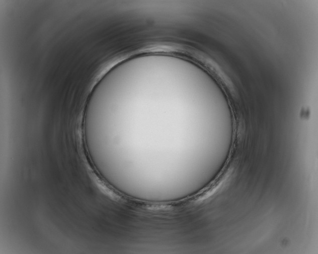 X0000101711417200807101358