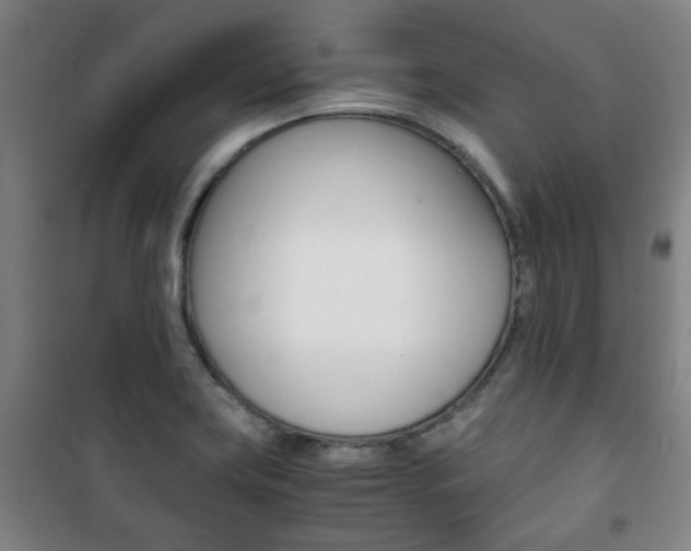X0000101711419200807101358
