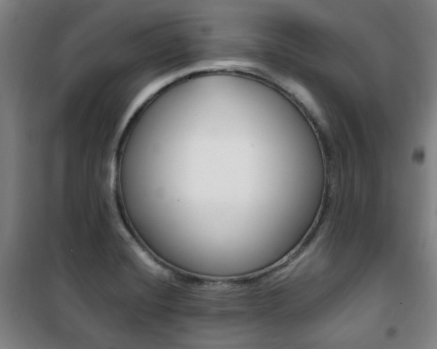 X0000101711420200807101358