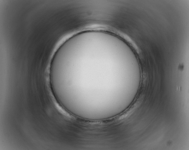 X0000101711421200807101358