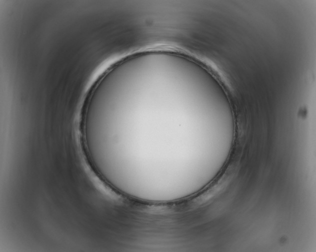 X0000101711422200807101358
