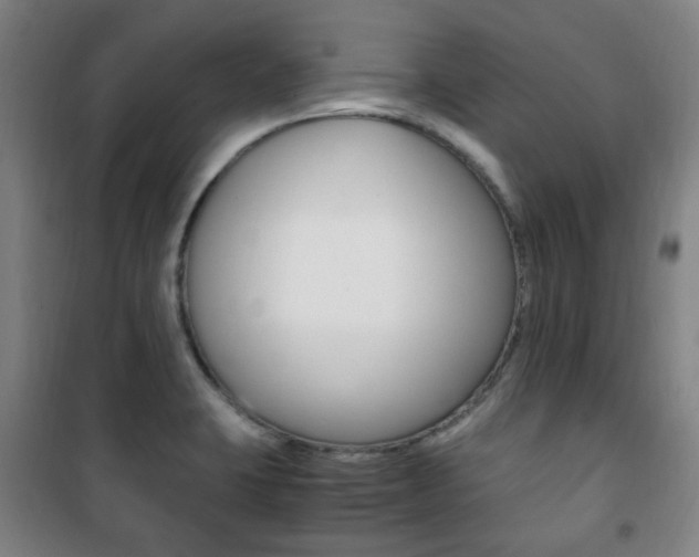 X0000101711423200807101358