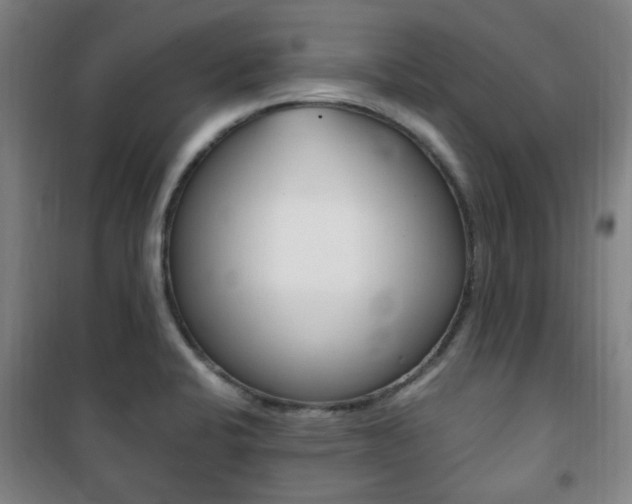 X0000101711424200807101358