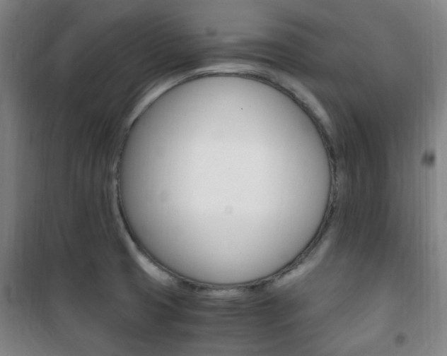 X0000101711425200807101358