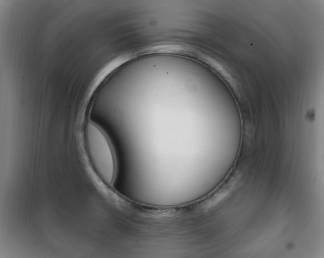 X0000101711426200807101358