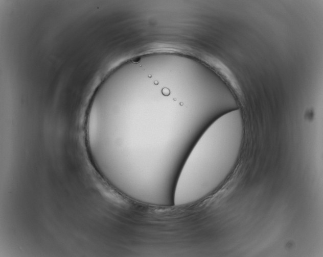 X0000101711427200807101358