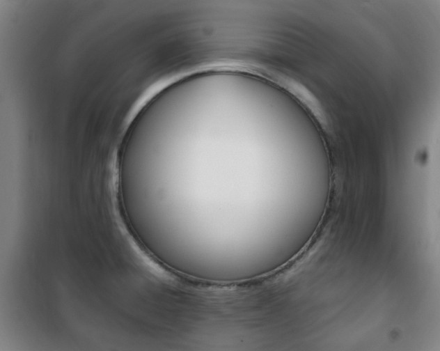 X0000101711428200807101358