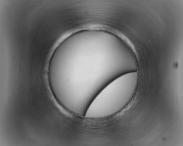 X0000101711429200807101358