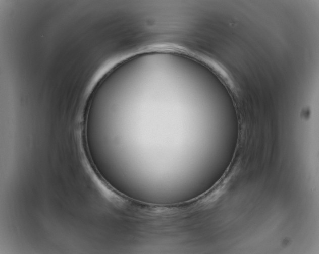 X0000101711430200807101358