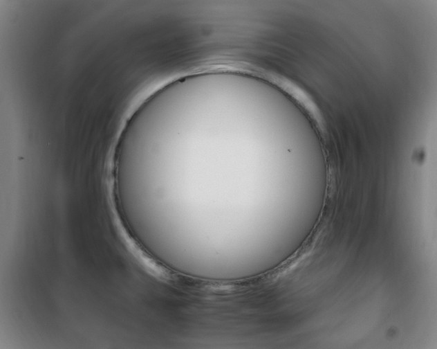 X0000101711431200807101358