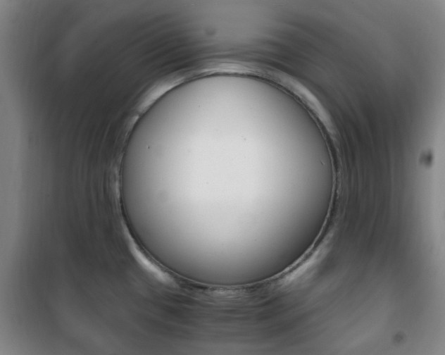 X0000101711433200807101358