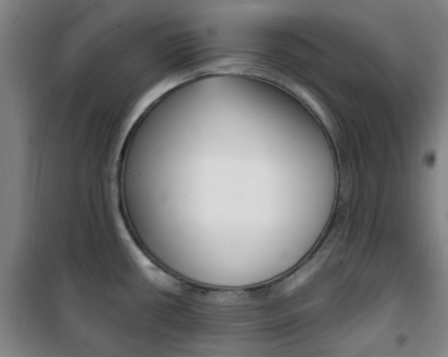 X0000101711434200807101358