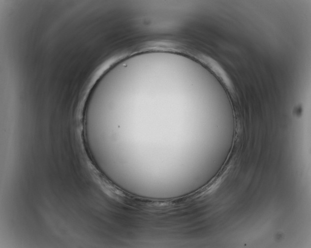 X0000101711435200807101358