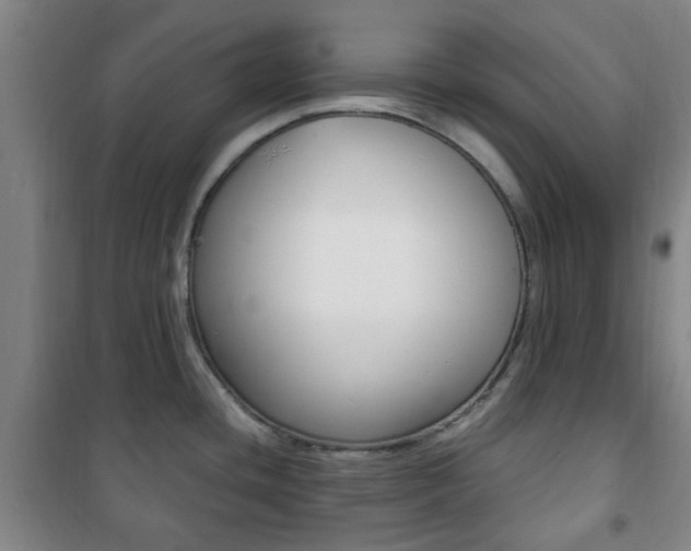 X0000101711436200807101358