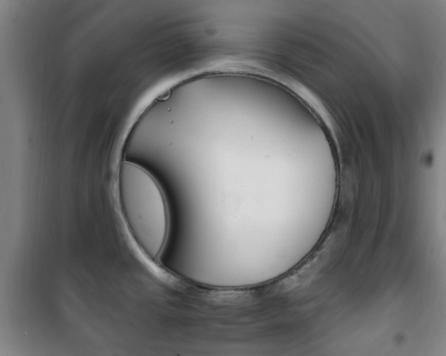 X0000101711437200807101358