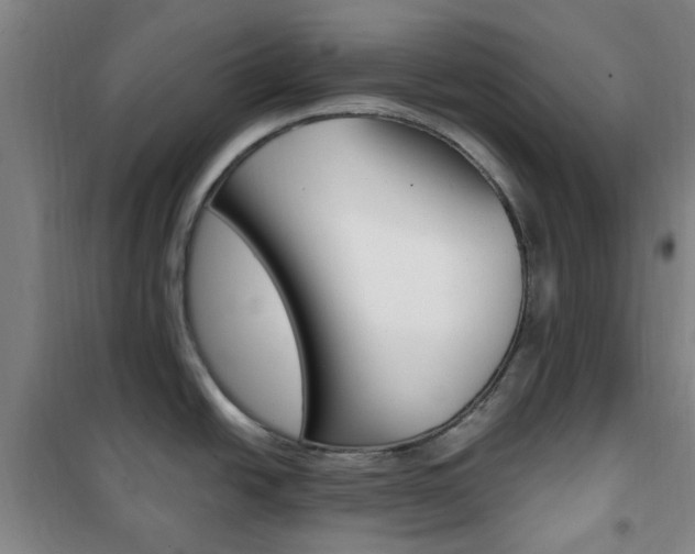 X0000101711438200807101358