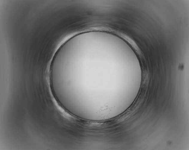 X0000101711439200807101358
