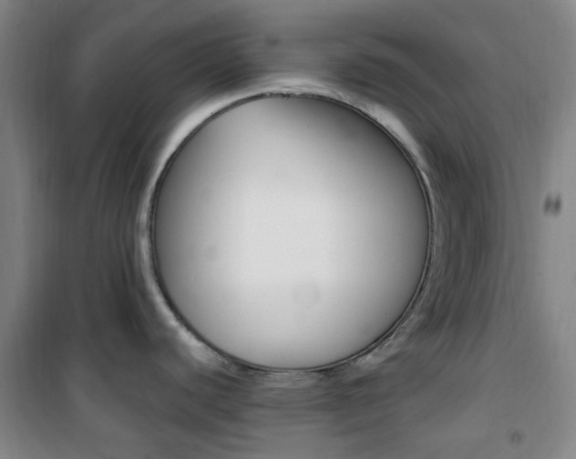X0000101711440200807101358