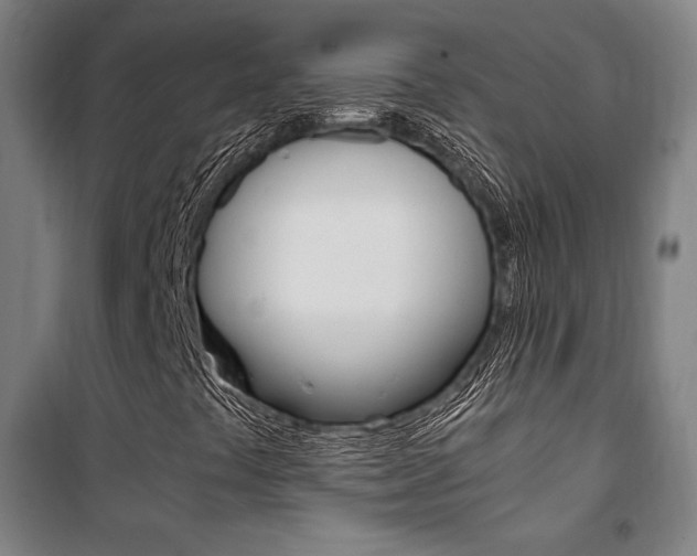 X0000101711441200807101358