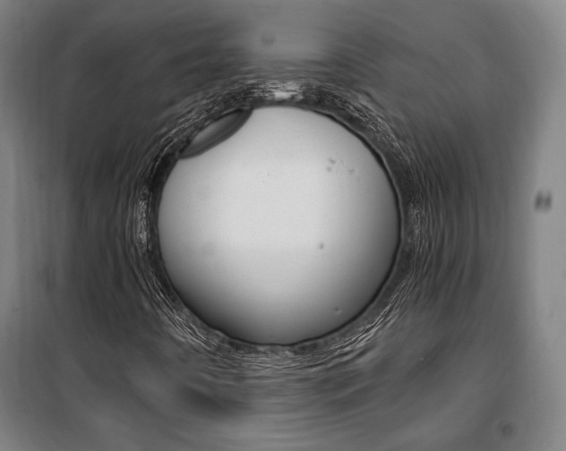 X0000101711442200807101358
