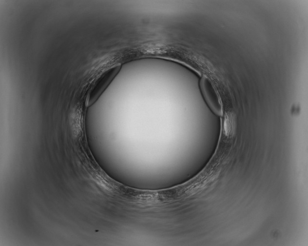 X0000101711444200807101358