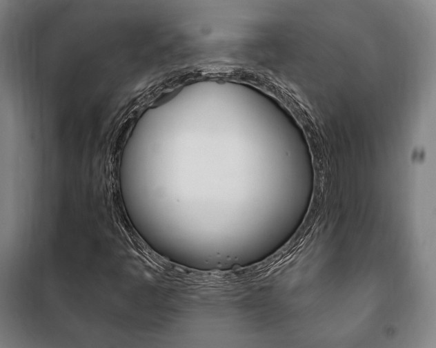 X0000101711445200807101358