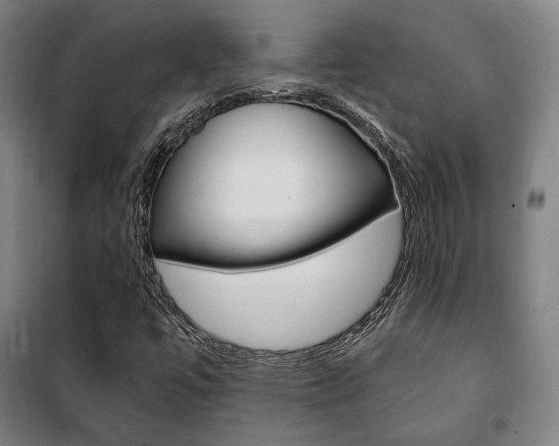 X0000101711447200807101358