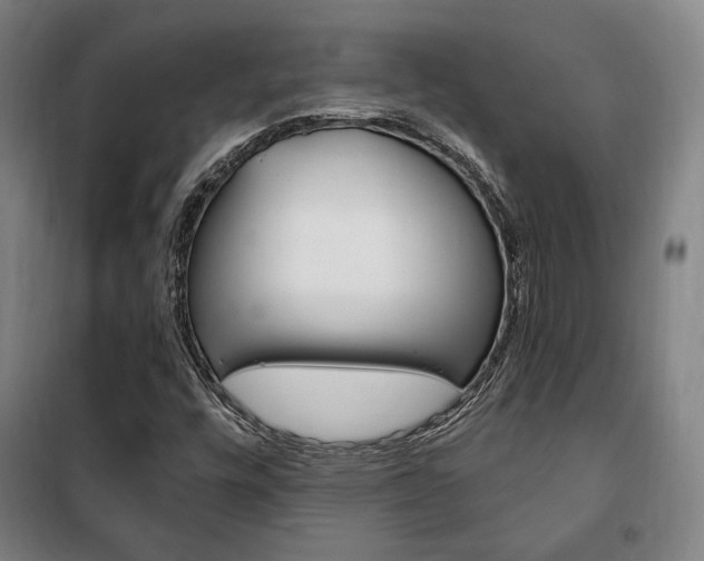 X0000101711448200807101358