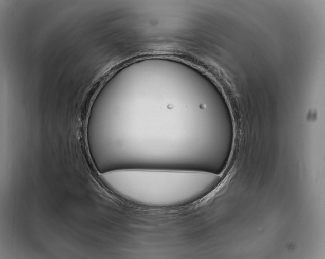 X0000101711449200807101358