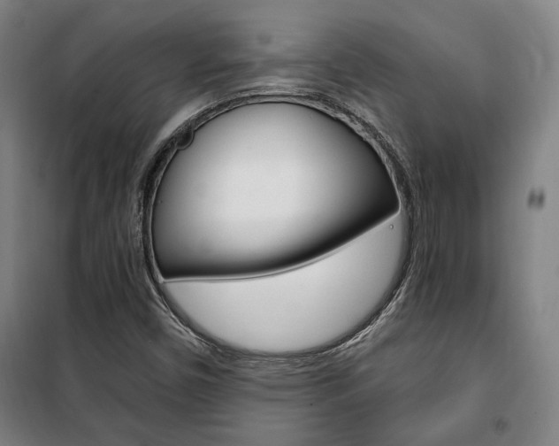 X0000101711450200807101358