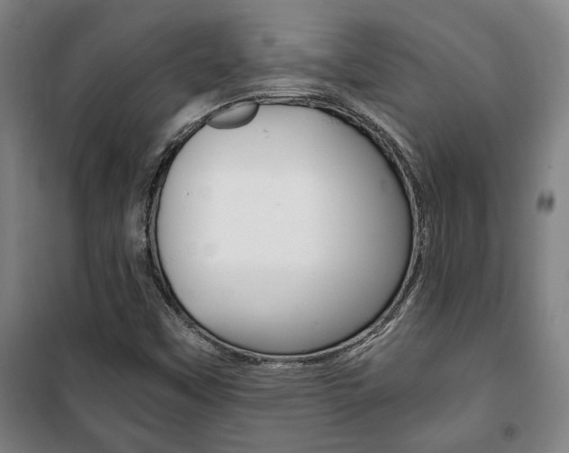 X0000101711451200807101358