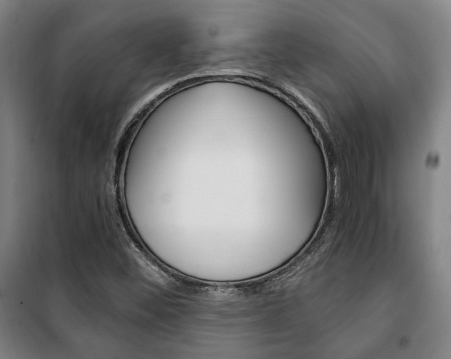 X0000101711452200807101358