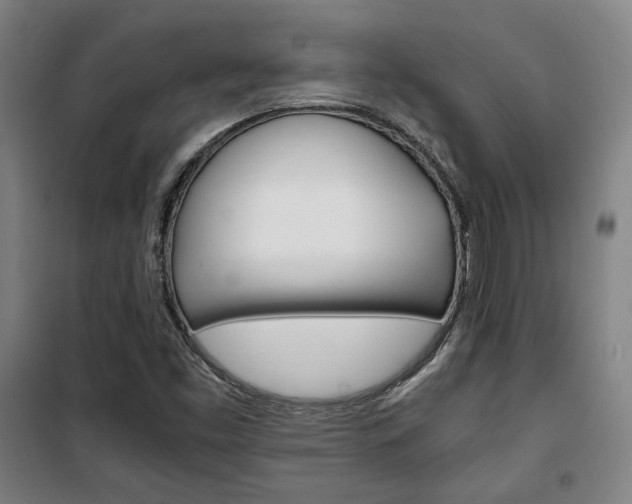 X0000101711453200807101358