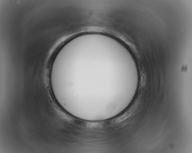 X0000101711454200807101358