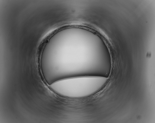 X0000101711456200807101358