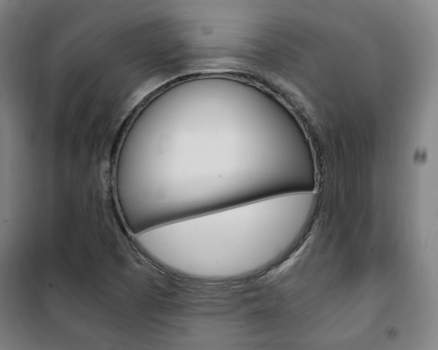 X0000101711457200807101358