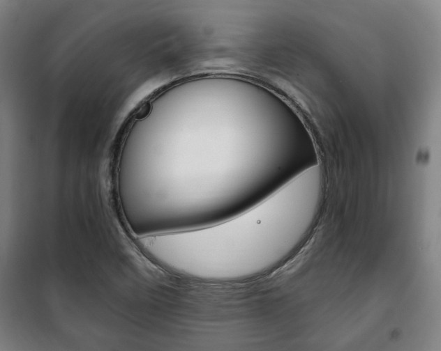 X0000101711458200807101358
