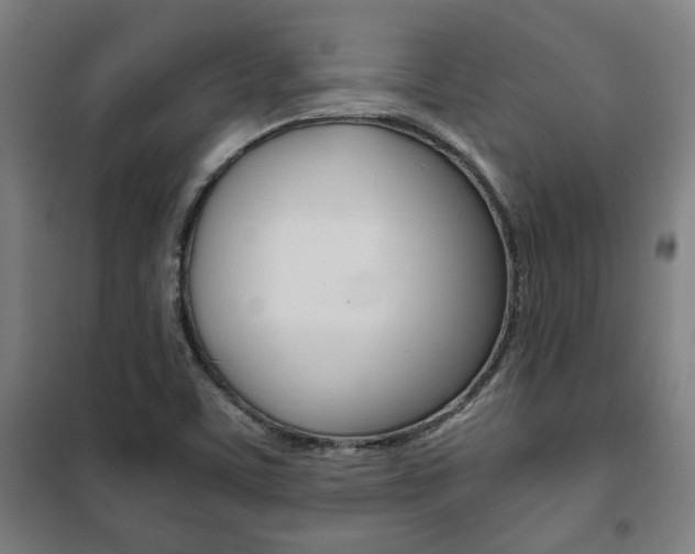 X0000101711459200807101357