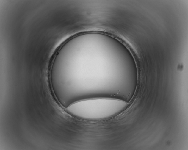 X0000101711460200807101357
