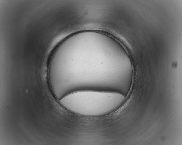 X0000101711461200807101357
