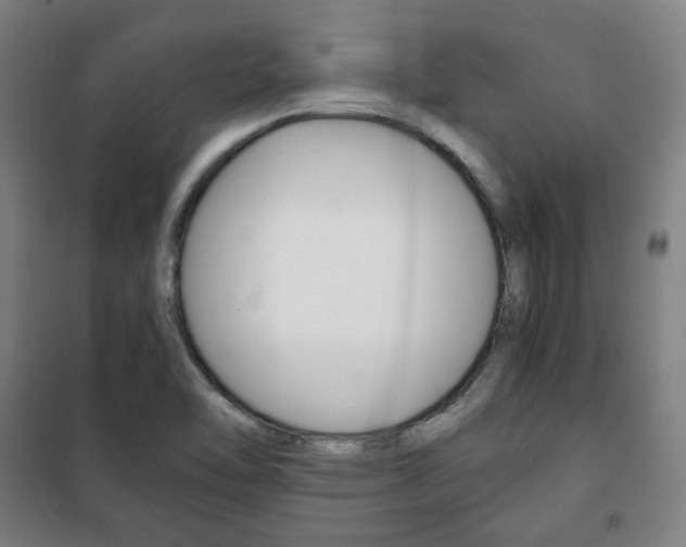 X0000101711462200807101357