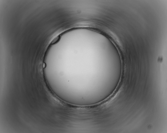 X0000101711465200807101357