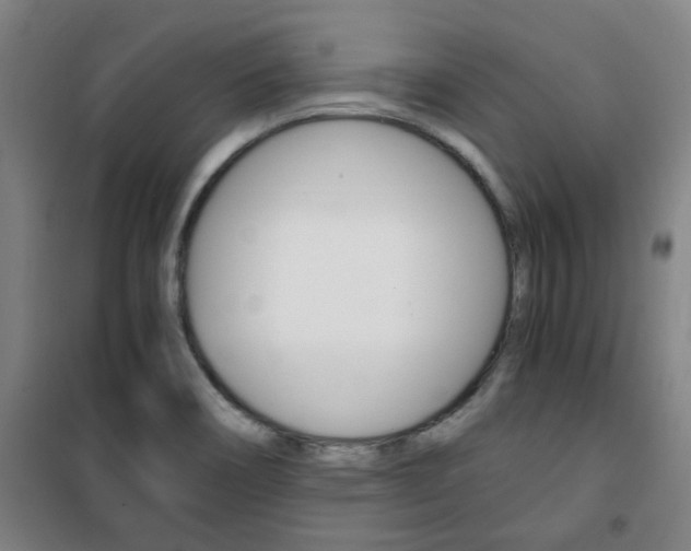X0000101711466200807101357