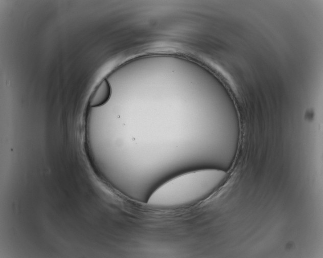X0000101711467200807101357
