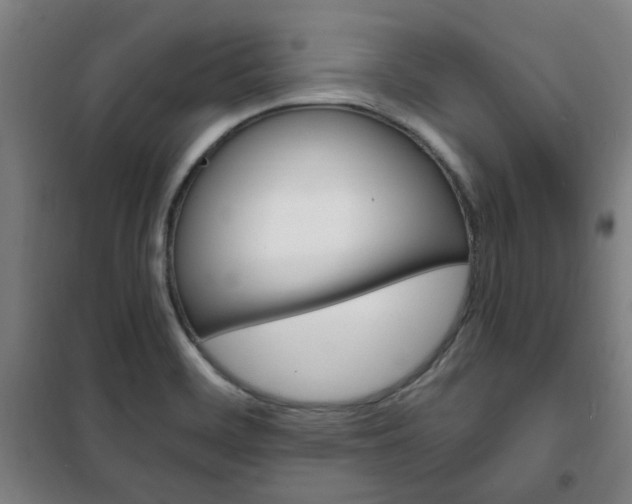 X0000101711468200807101357